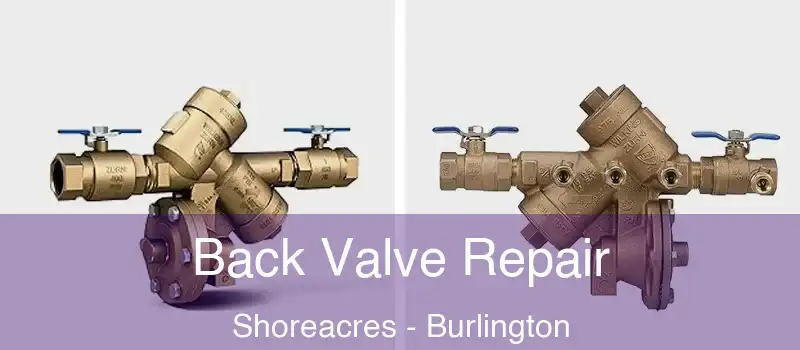 Back Valve Repair Shoreacres - Burlington