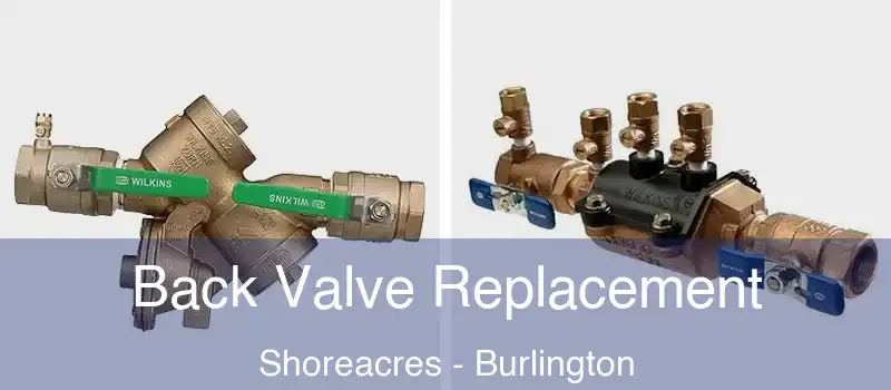Back Valve Replacement Shoreacres - Burlington