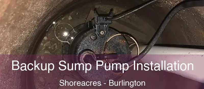 Backup Sump Pump Installation Shoreacres - Burlington