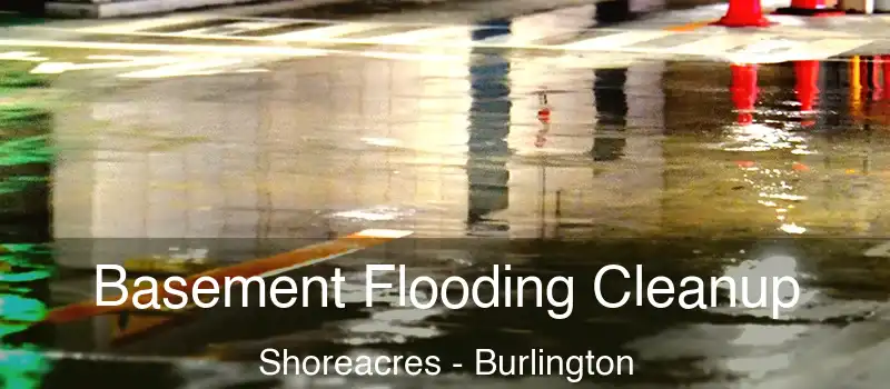 Basement Flooding Cleanup Shoreacres - Burlington