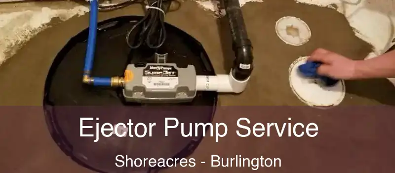 Ejector Pump Service Shoreacres - Burlington