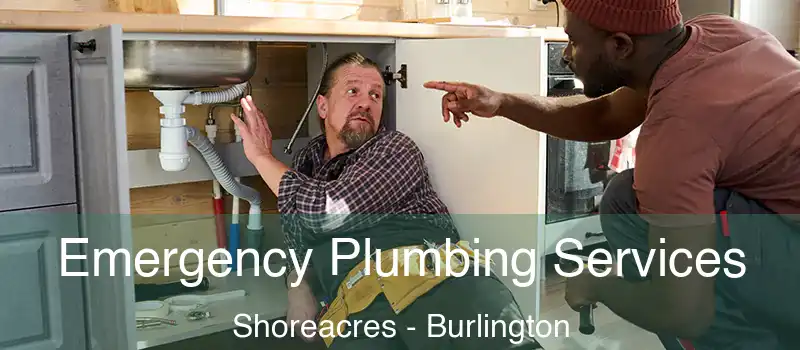Emergency Plumbing Services Shoreacres - Burlington