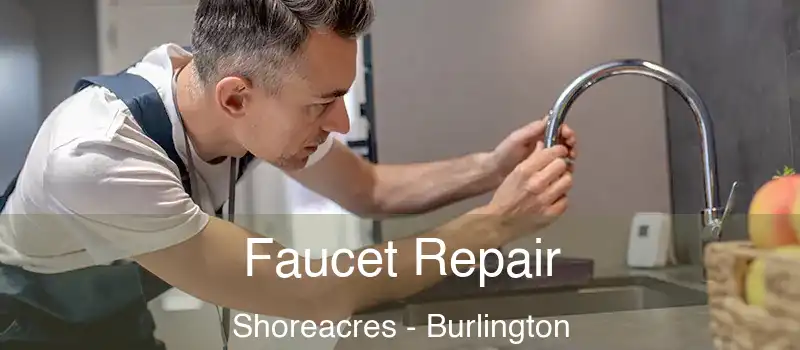  Faucet Repair Shoreacres - Burlington