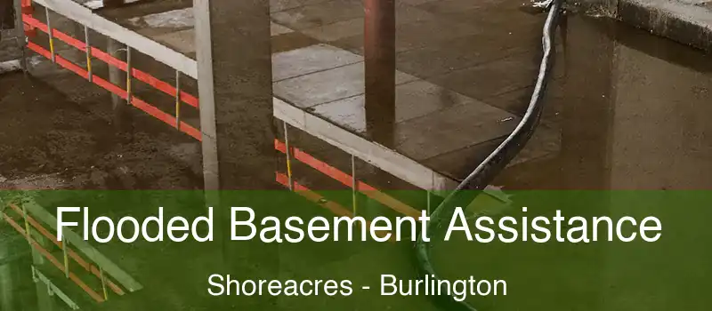  Flooded Basement Assistance Shoreacres - Burlington