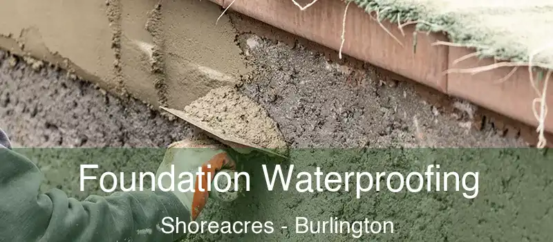 Foundation Waterproofing Shoreacres - Burlington