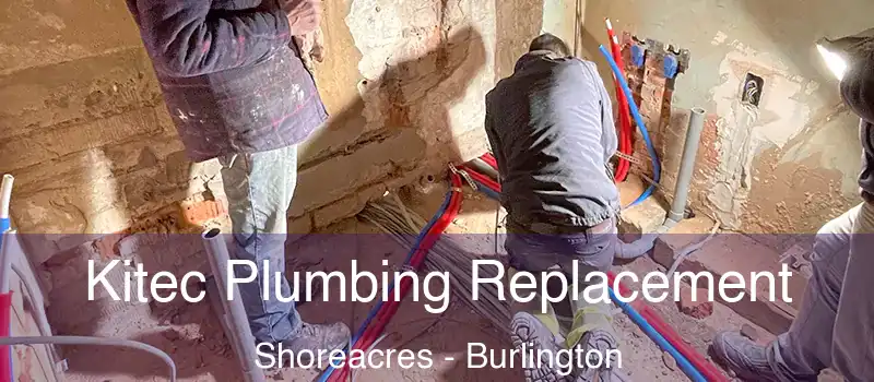 Kitec Plumbing Replacement Shoreacres - Burlington