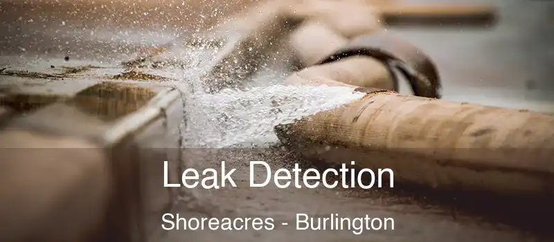 Leak Detection Shoreacres - Burlington