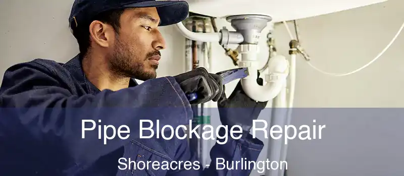  Pipe Blockage Repair Shoreacres - Burlington