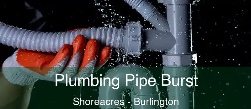  Plumbing Pipe Burst Shoreacres - Burlington