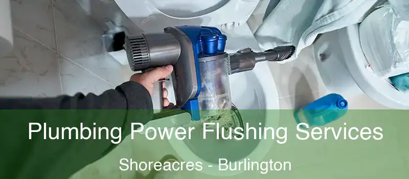 Plumbing Power Flushing Services Shoreacres - Burlington