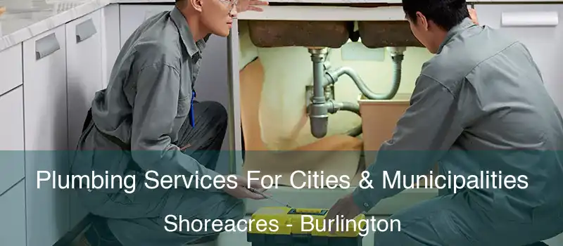 Plumbing Services For Cities & Municipalities Shoreacres - Burlington