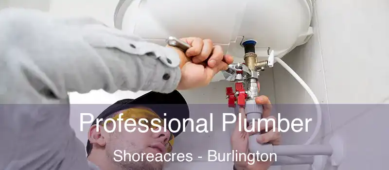 Professional Plumber Shoreacres - Burlington