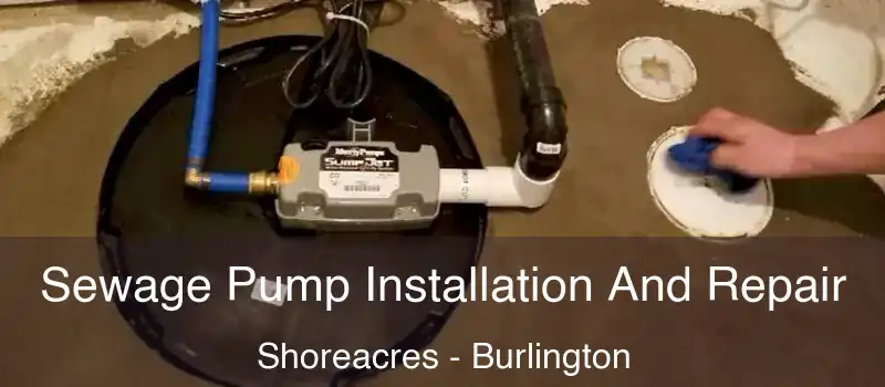 Sewage Pump Installation And Repair Shoreacres - Burlington