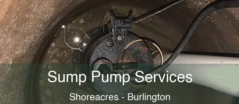Sump Pump Services Shoreacres - Burlington