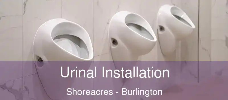 Urinal Installation Shoreacres - Burlington