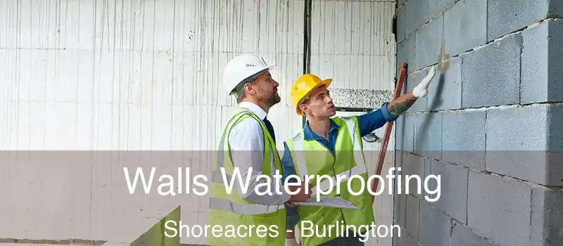 Walls Waterproofing Shoreacres - Burlington