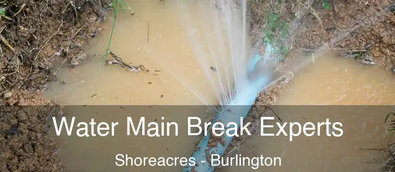 Water Main Break Experts Shoreacres - Burlington