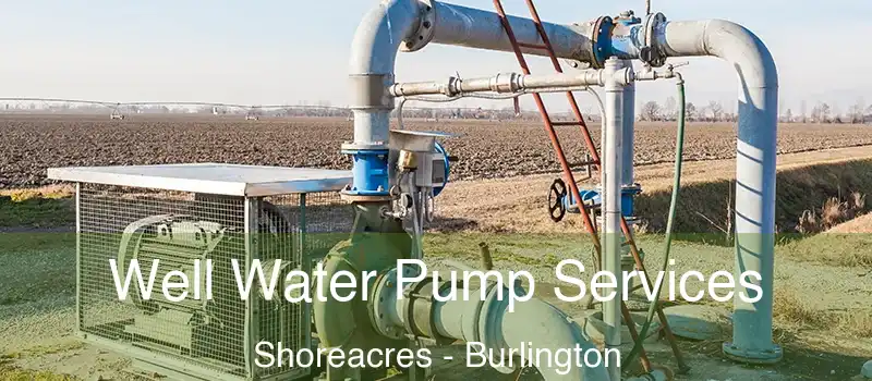  Well Water Pump Services Shoreacres - Burlington